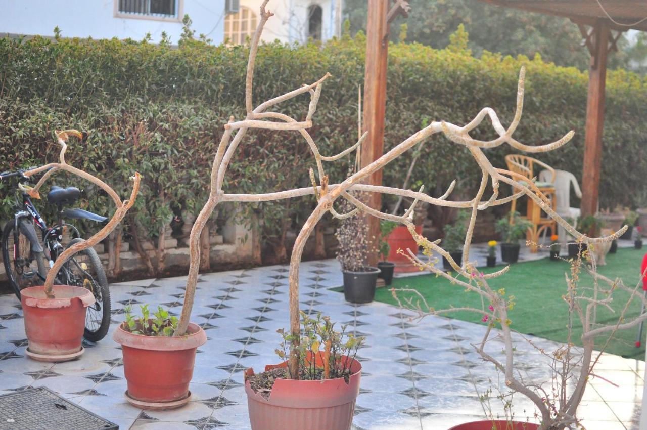 Morning Star Guesthouse Charm el-Cheikh Extérieur photo